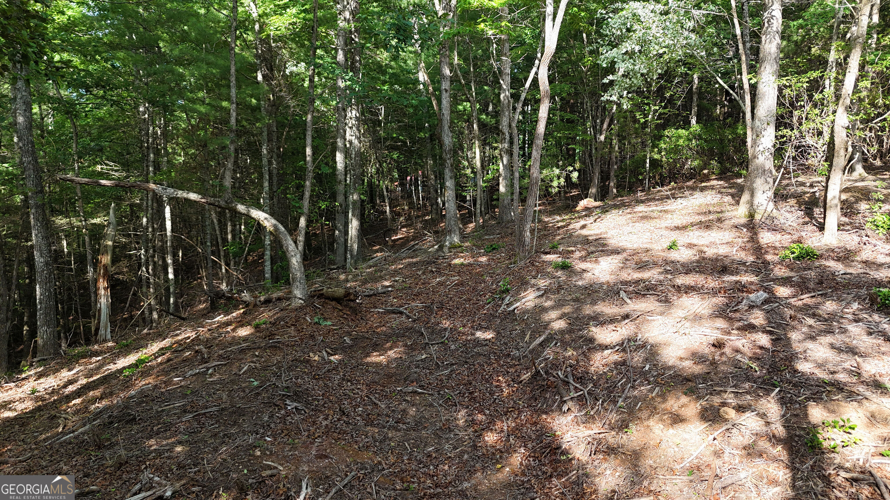 TR 2 East New Hope RD