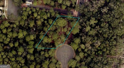 Photo of 0 Overlook Lane, St. Marys, GA 31558 (MLS # 10626706)