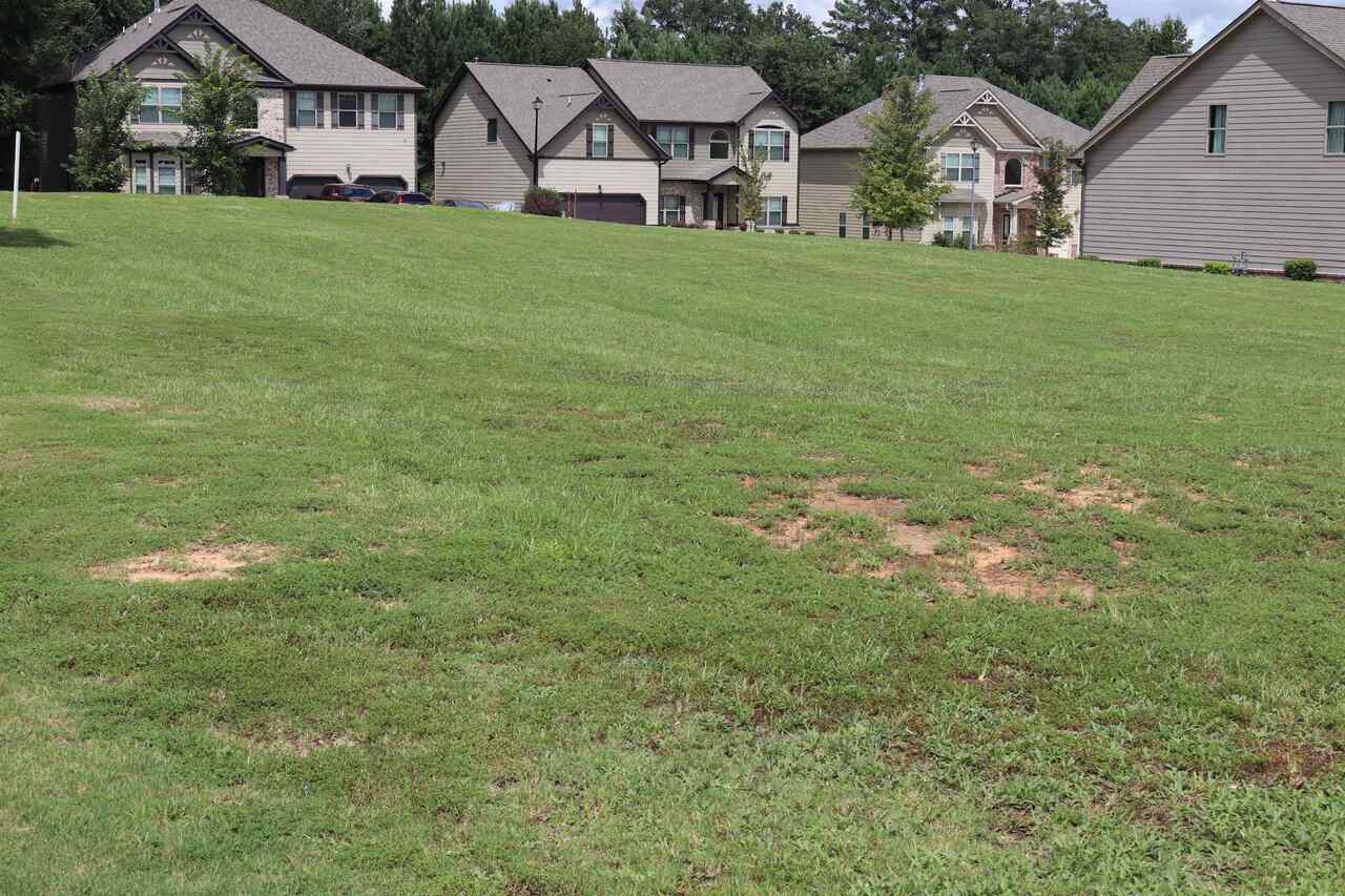 WOW! What a steal in the HOT Stonecrest area!! New Construction is still being built in the area providing comps from the mid 300s to high 400s! This listing is for the two adjoining parcels recorded as tax ID #’s: 1) 16 181 01 227 & 2) 16 181 01 226 with property address of 3300 & 3308 Dogwood Pass Lithonia, GA 30038. The purchase and sale of the parcels shall be contingent on seller receiving a clean title for both parcels. Both parcels are sold together and listing price reflects total price. Per the tax records 3300 Dogwood Pass is .20 acre and 3308 is .30 acre for a total of .50 acre allowing you the option to build on one or both lots!! The listed property taxes of $1,647.36 is the combined amount of each individual units tax bill of $823.68.