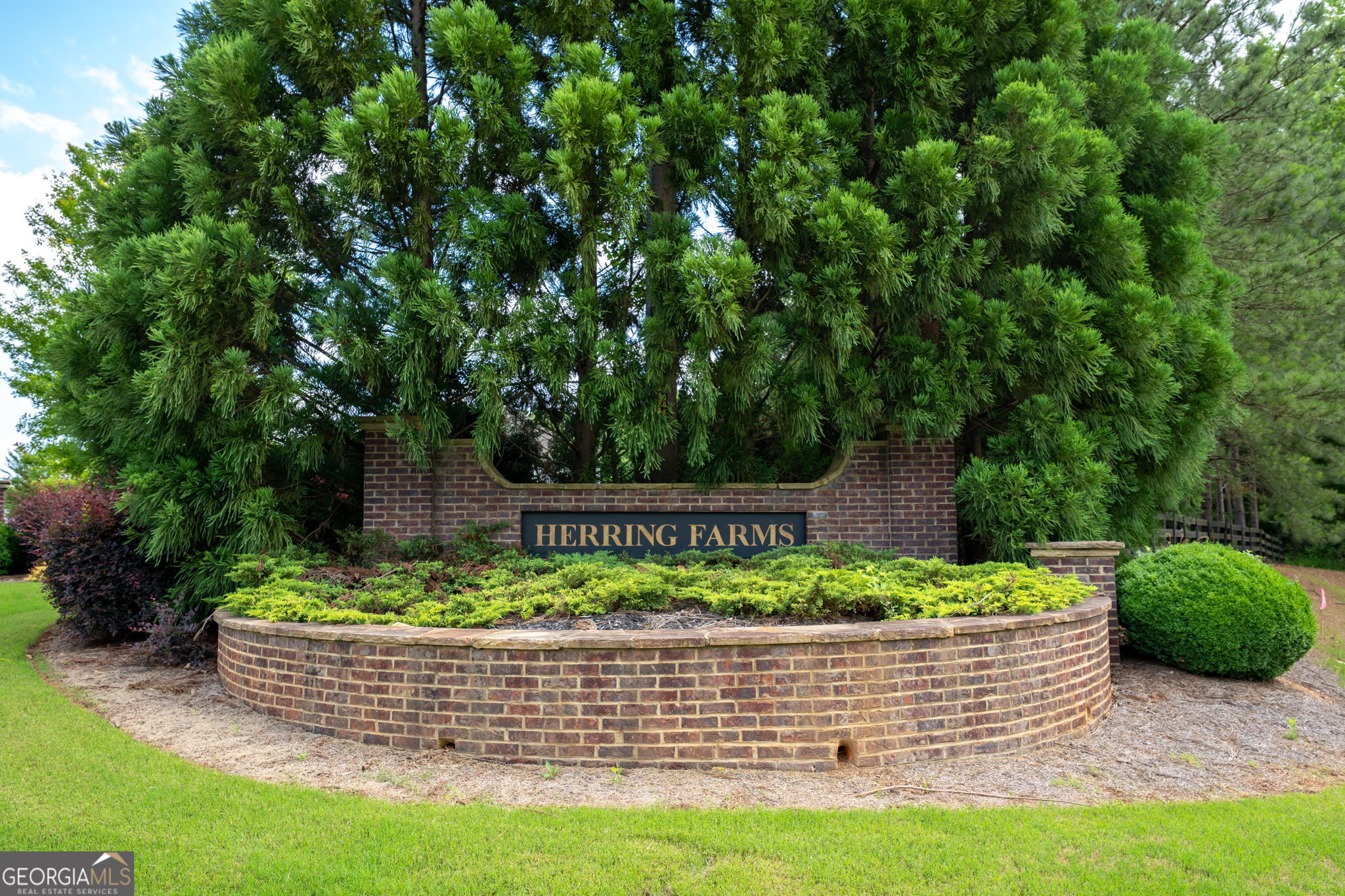 73 Palomino DR