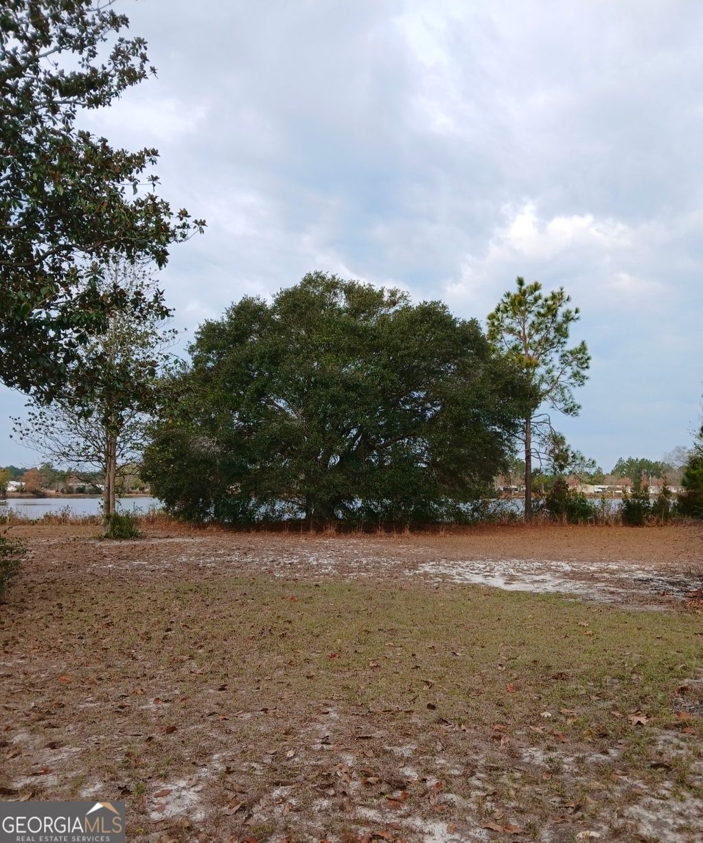 Photo of 165444 Spring Lake Drive #44, Folkston, GA 31537 (MLS # 10657611)