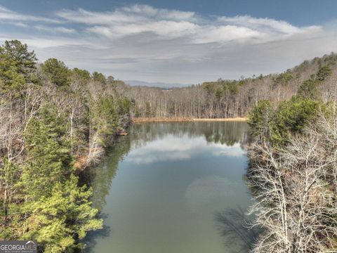 A home in Ellijay