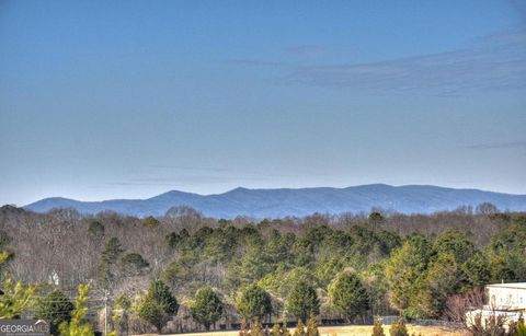 A home in Ellijay