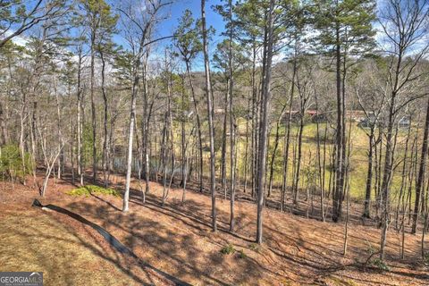 A home in Ellijay