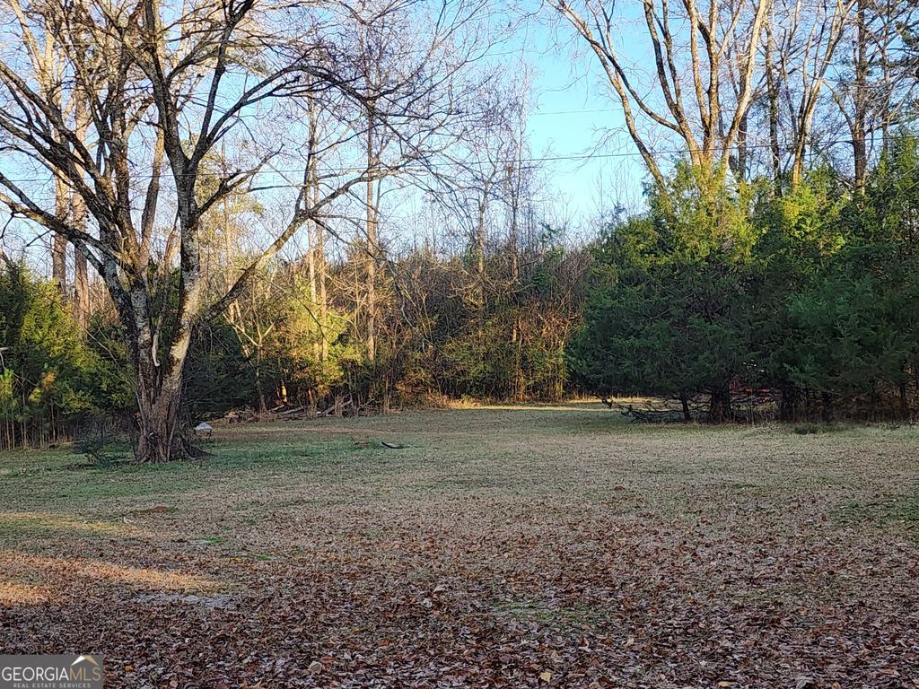 Photo of 1405 Smith Road, Forsyth, GA 31029 (MLS # 10662464)