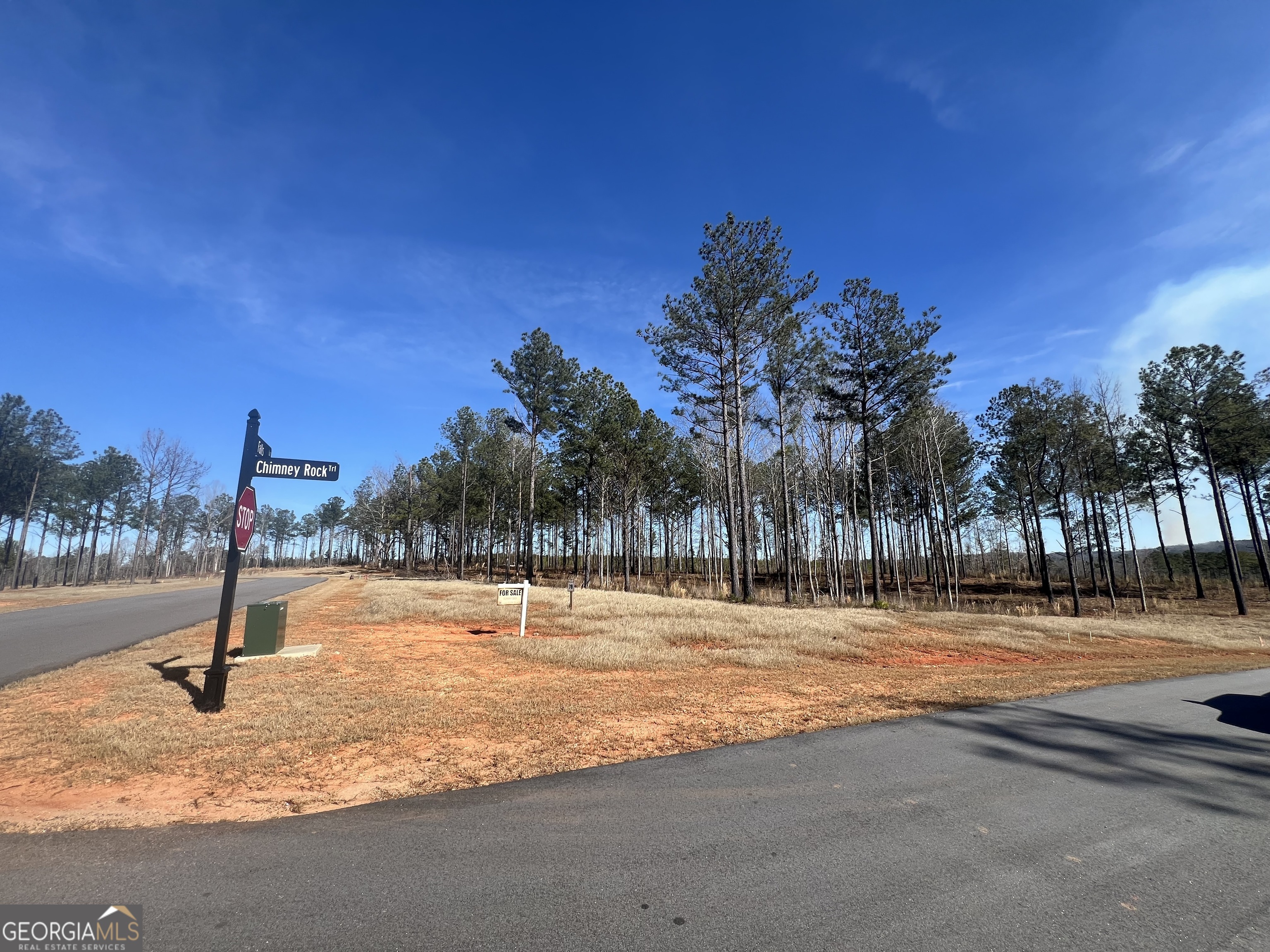 Lot 78 offers great curve appeal. Sits on 1.07 cornet lot. Build your dream home surrounded by upscale homes in Lake Sinclair. The Falls, a gated community offers resort style amenities, exclusive lake access including boat ramp, a community dock, Pool, pavilion, cozy fireplace, miniature putting green. Conveniently located less than 30 minutes from downtown Milledgeville.