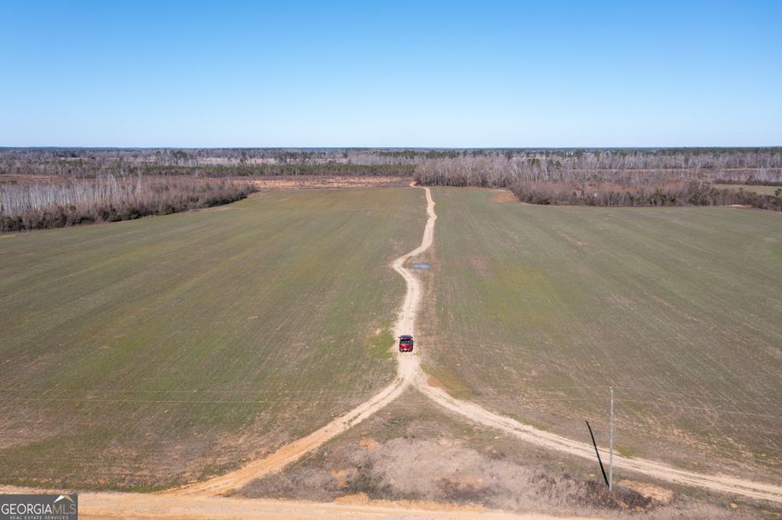 Street Place plantation is a 1,517-acre productive family farm with a mix of dry cropland and timberland with several lakes and nearly two miles of Ogeechee River Frontage. Approximately 21% of the farm has historically been utilized for production of Agriculture. The remainder of the farm is a mixture of upland and bottomland timber, much of which has been harvested throughout the last 5 to 7 years. There are several current lakes and former lake sites, including Hancock Lake, which was once a 50-acre lake. Both major Lakes were damaged during the flood of 1990. These sites can be repaired and restored to create two major lakes on the property.   The property has an astonishing 1.86 miles of frontage on the Ogeechee River including a private boat landing. The Ogeechee River is known for great fishing and is sure to attract waterfowl. Speaking of waterfowl, the several small bays surrounding the ag fields coupled with the lakes and flooded timber provide excellent waterfowl habitat.   There is no shortage of wildlife on this property. The young pine and hardwood timber serves as excellent habitat for the deer with ample water sources and bedding areas throughout. As indicated in the pictures the property has produced excellent deer over the years.  Street Place has a great road infrastructure with the primary road running the depth of the property, just over two miles, from the state highway all the way to the Ogeechee River. Overhead power runs the length of this road, providing easy access to electricity for much of the property.   The terrain is a mix of relatively flat topography in the agricultural areas with a gradual roll towards the Ogeechee River.  Several small creeks flow through the property feeding the multiple lakes and Ponds throughout.   An electric transmission line is near the property lending the opportunity for conservation or solar development. The high percentage of upland, well drained soils further improve the opportunity for r development.   Steeped in history, Street Place Plantation is bifurcated by a Civil War Era Railroad bed. Throughout the years, owners and visitors have found civil war artifacts throughout the property and regularly discover arrowheads and other Native American artifacts.   Street Place Plantation is a property rich in character and loaded with potential. If you are looking for an excellent recreational property, farmland or investment please call our team about Street Place Planation.