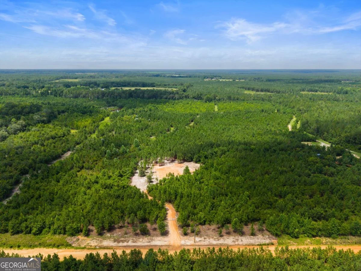 381 Findley Cemetery Road, Lyons, GA, 30436