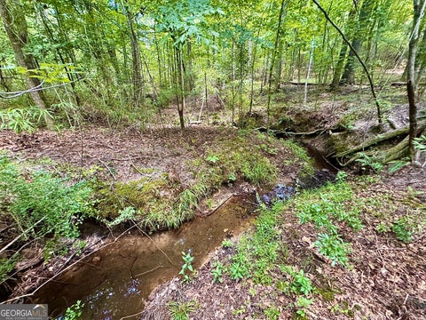 Photo of 2 Roy Lawrence Road, Sparta, GA 31087 (MLS # 10818702)