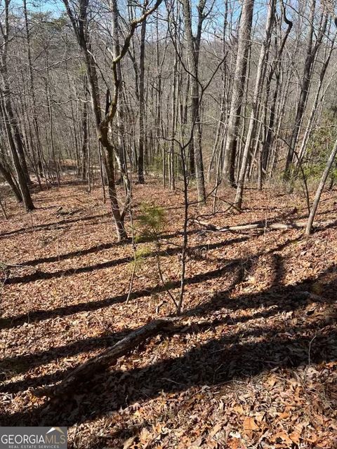 0 Timberland Trail Franklin NC 28734