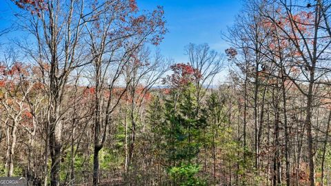 A home in Ellijay