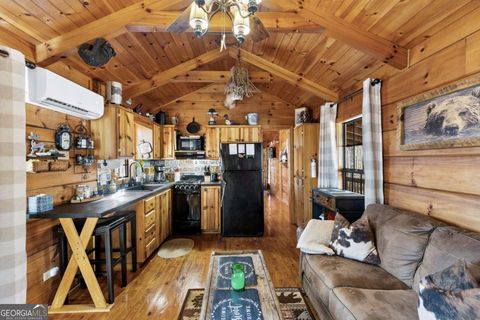 A home in Ellijay