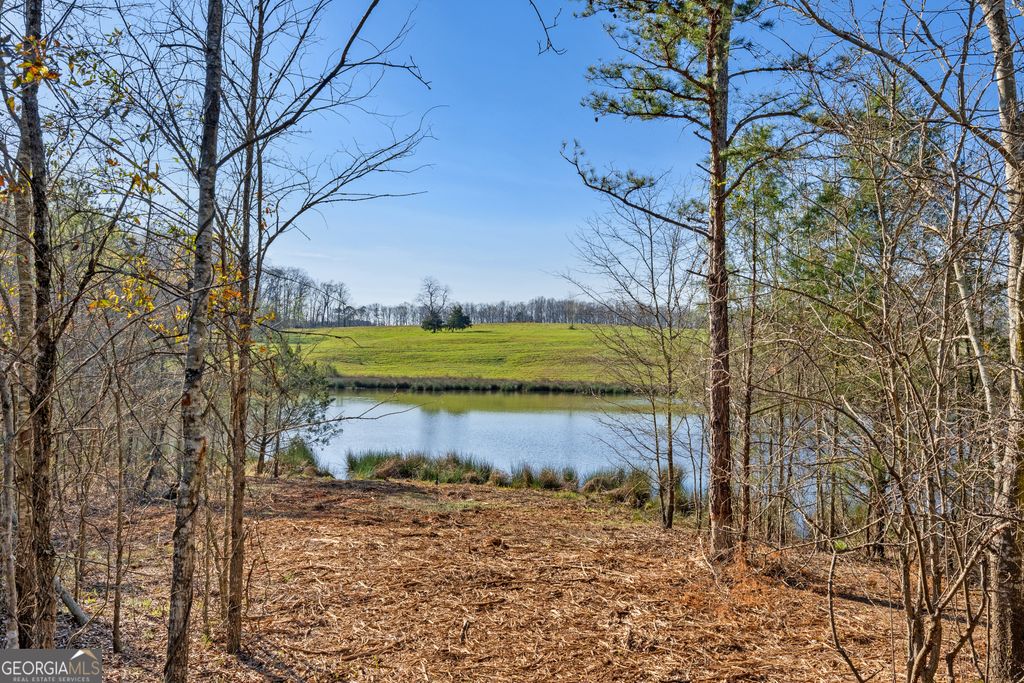Photo of 8 Legacy View, Hartwell, GA 30643 (MLS # 10724605)