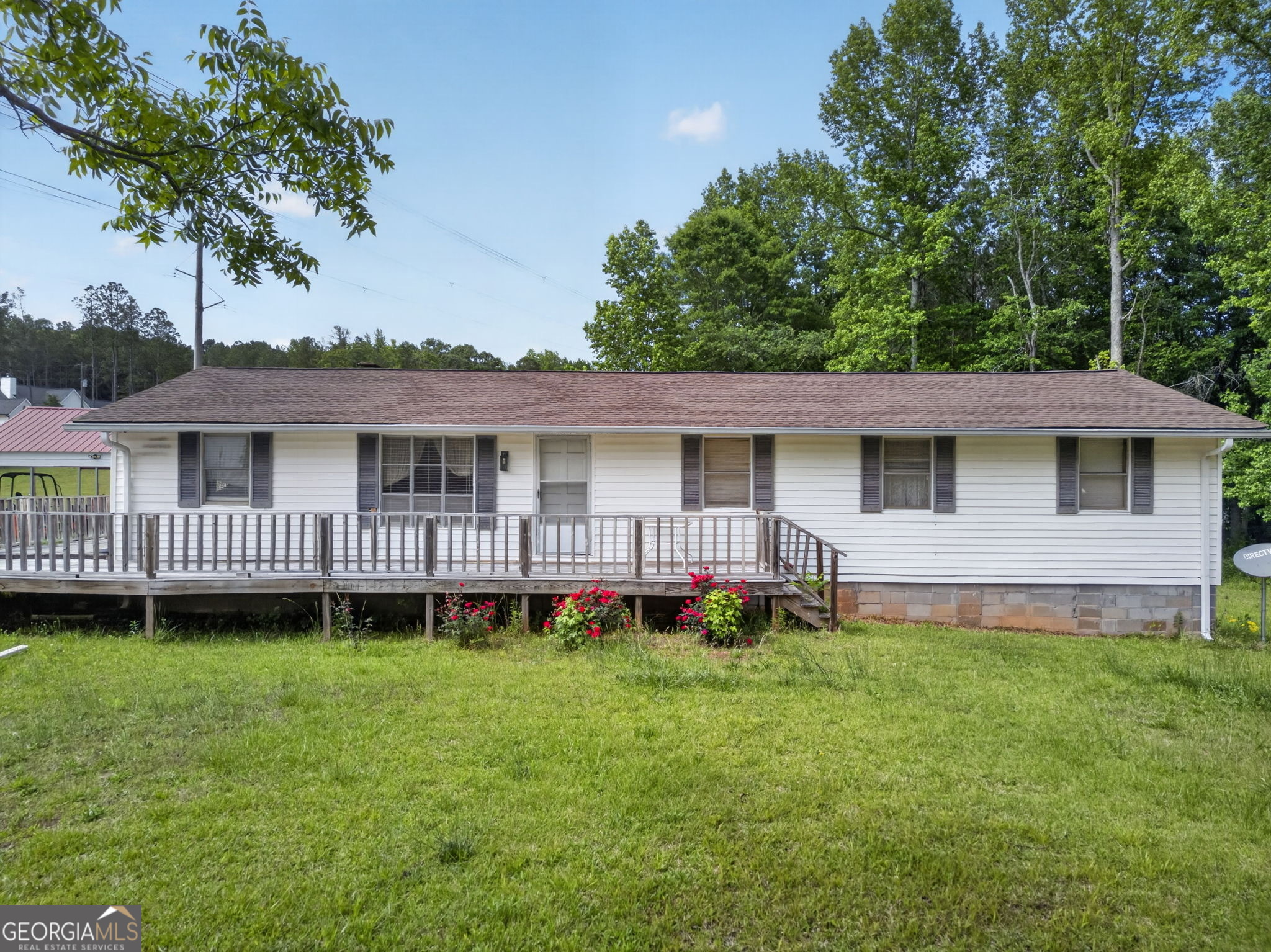 37 Water Spaniel LN