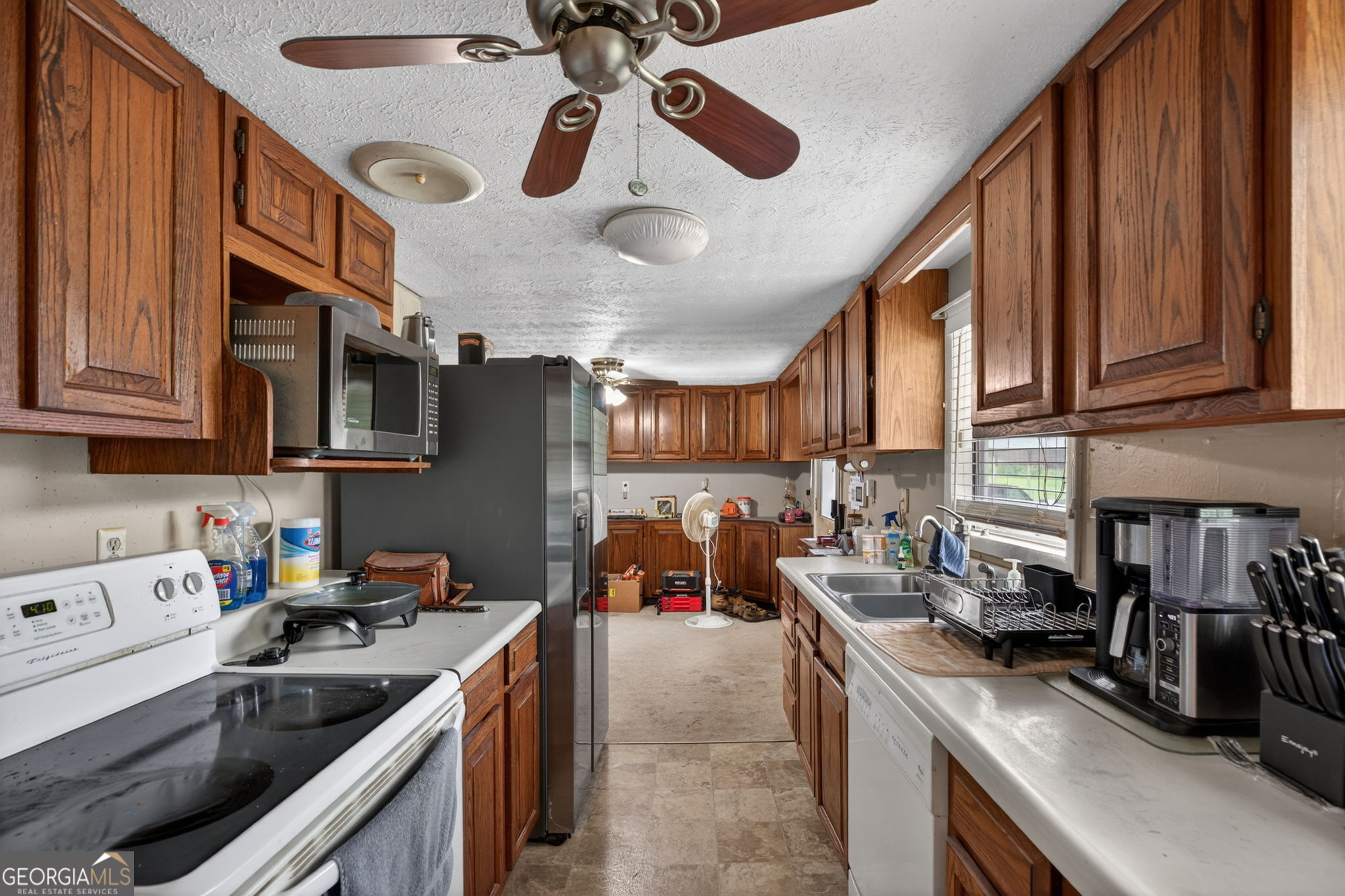 37 Water Spaniel LN
