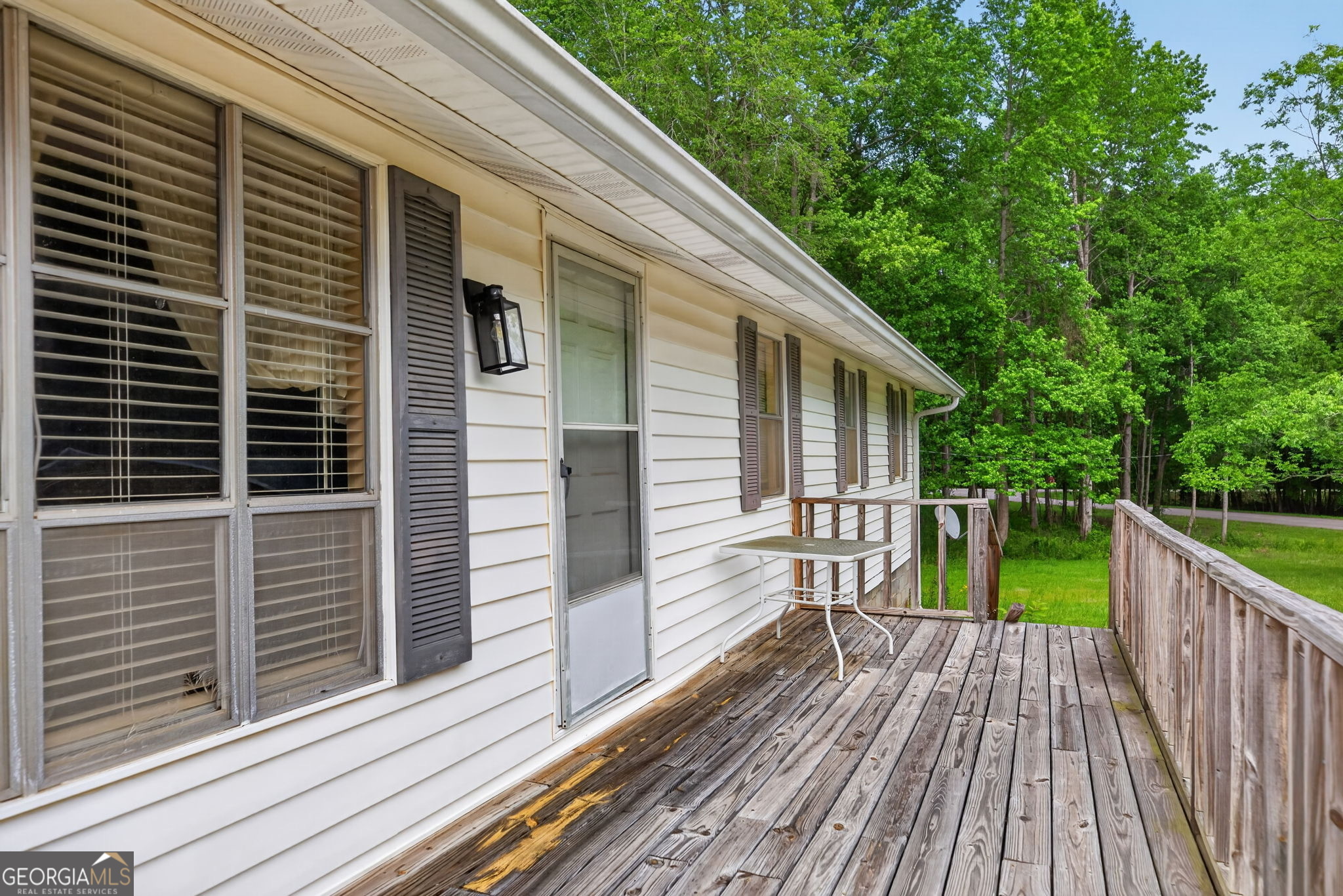 37 Water Spaniel LN