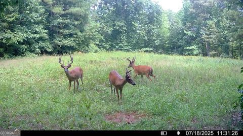 2941 Elberton RD Carlton GA 30627