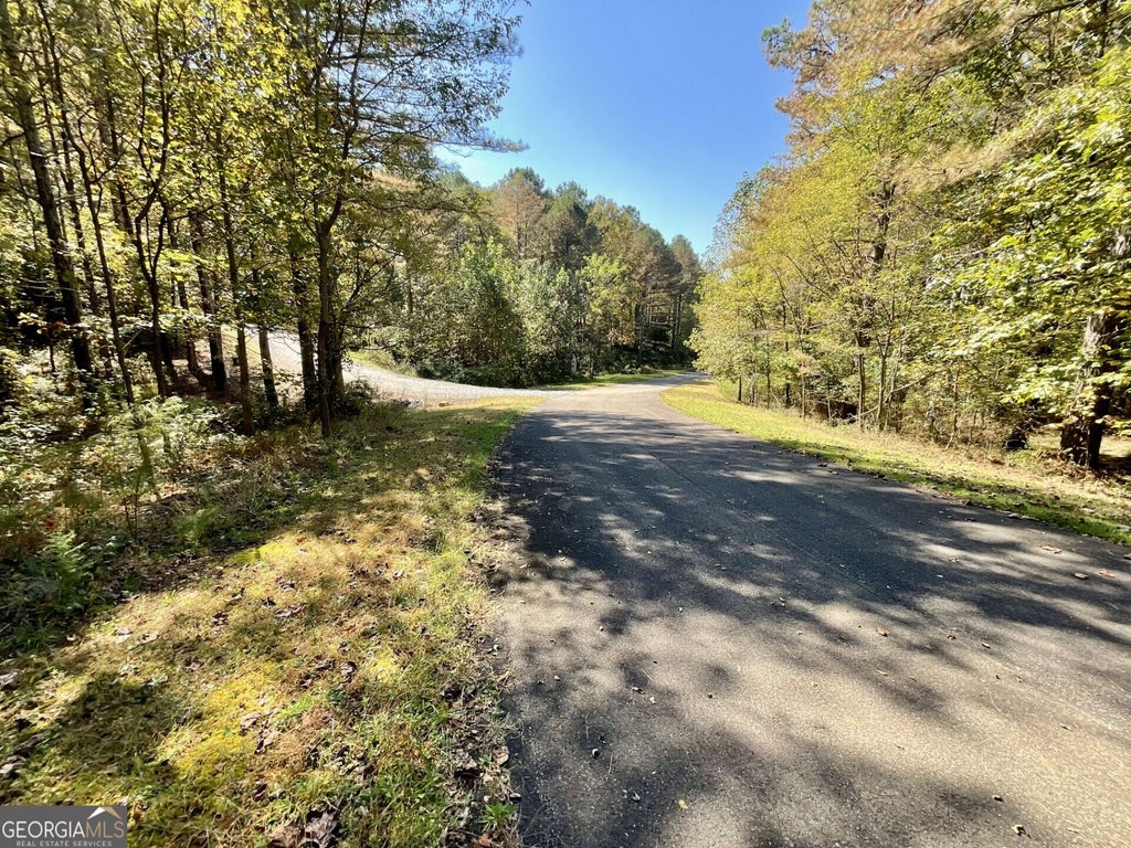 Photo of 0 Eastside Drive, Ellijay, GA 30536 (MLS # 10874377)