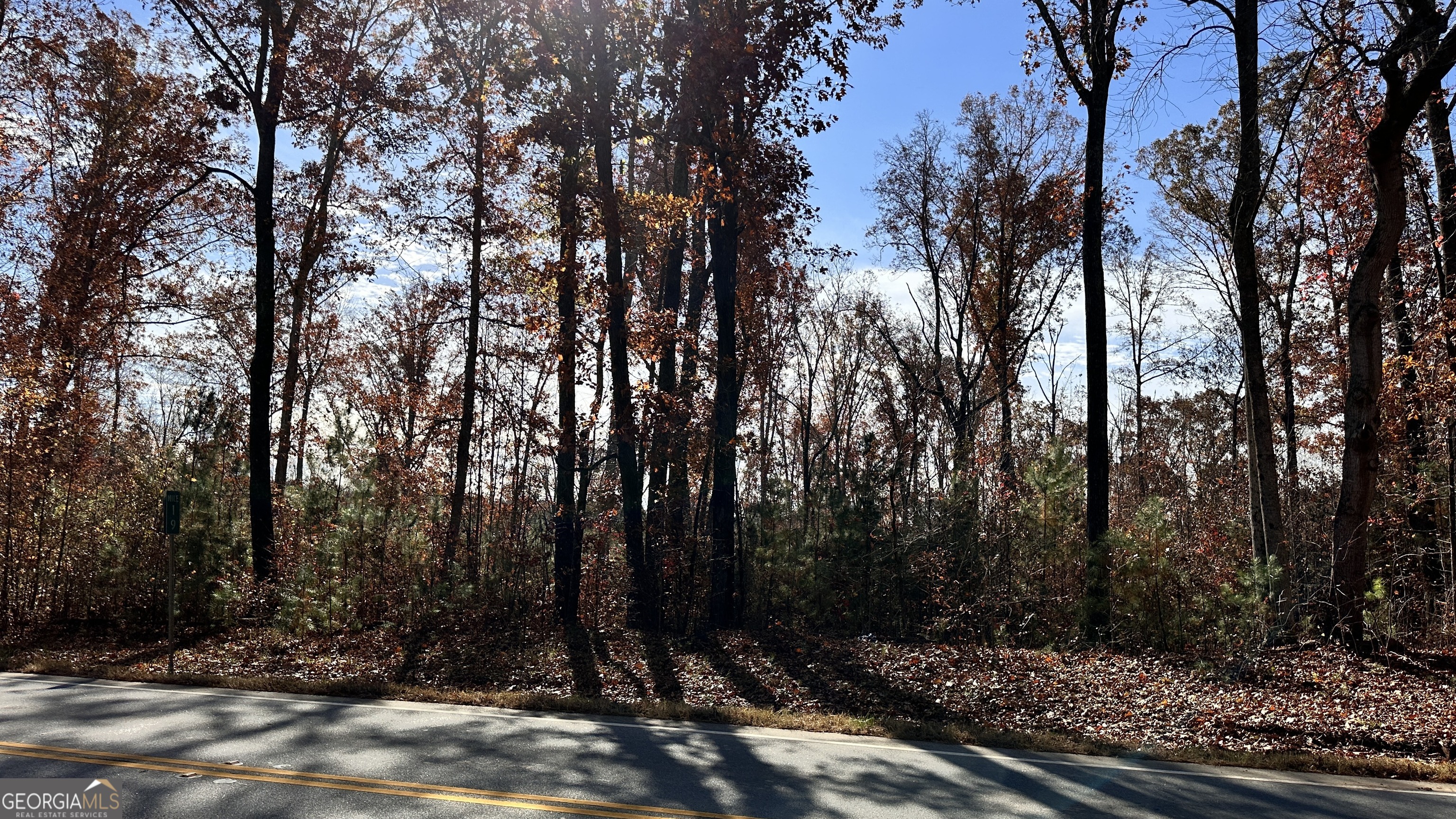 43 ACRES 43 Acres Ivey Springs