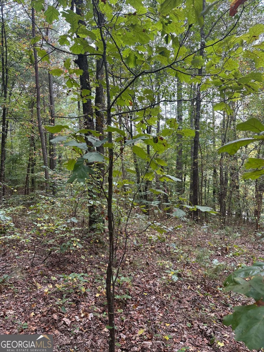 Photo of 3826 Salacoa-Tract C, Waleska, GA 30183 (MLS # 10719438)