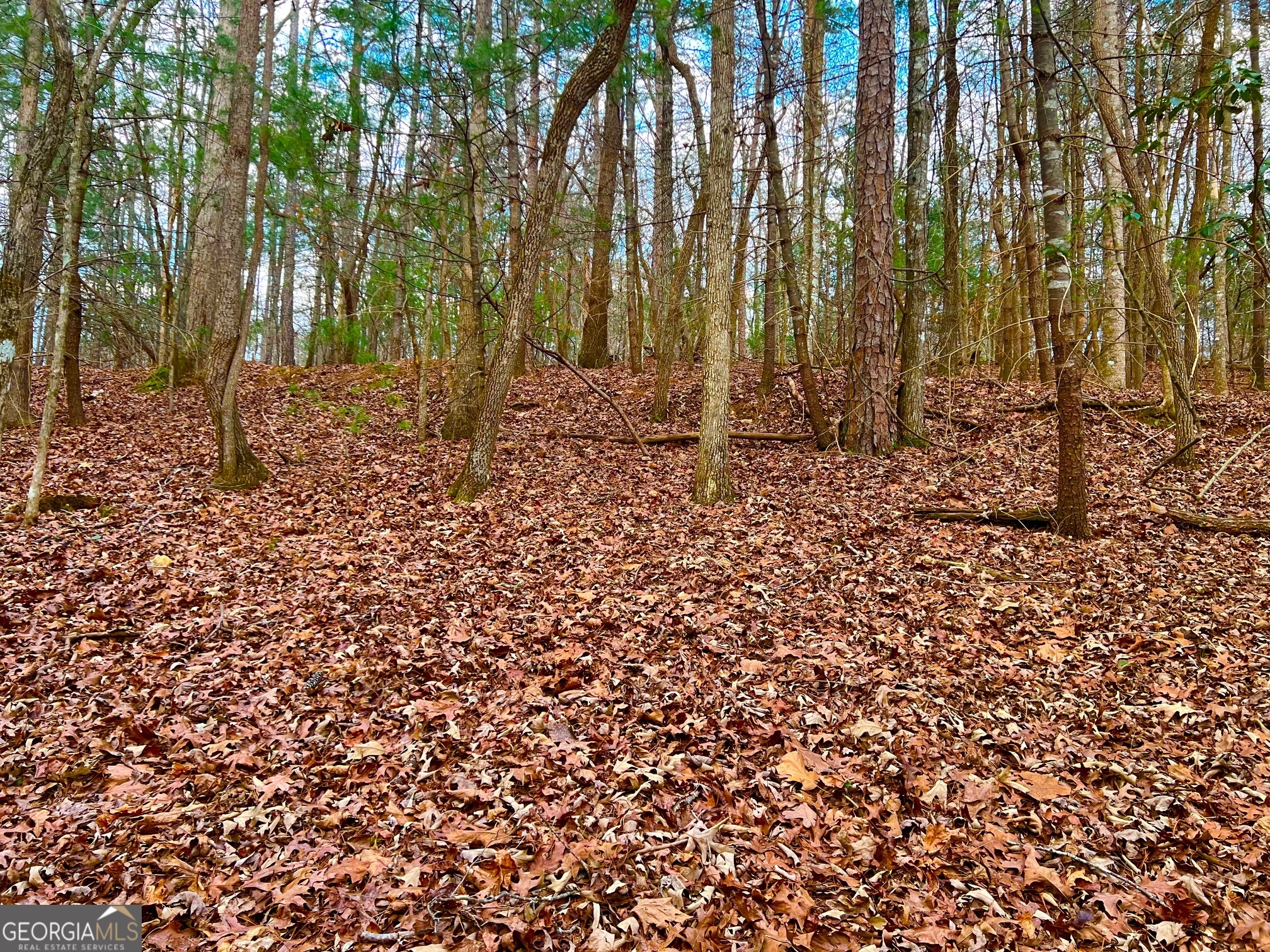 Photo 1 of 40 — 914 Villa DR, Ellijay, GA 30540
