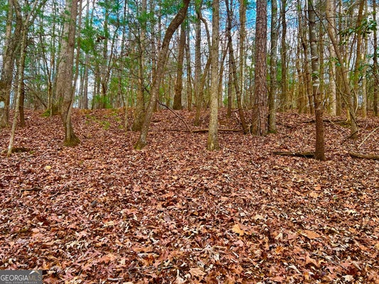 914 VILLA DR, ELLIJAY, GA 30540 - Image 800bfadb63d1fcb735eb8ddbfd069a9e/86363608