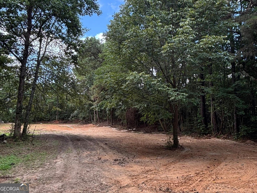 Photo of 17 Blackberry Creek Drive, Carrollton, GA 30116 (MLS # 10812100)