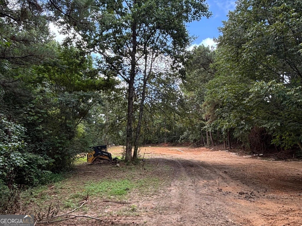 Photo of 17 Blackberry Creek Drive, Carrollton, GA 30116 (MLS # 10812100)
