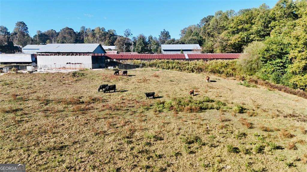 Photo of 0 Porter Springs Road, Dahlonega, GA 30533 (MLS # 10724735)