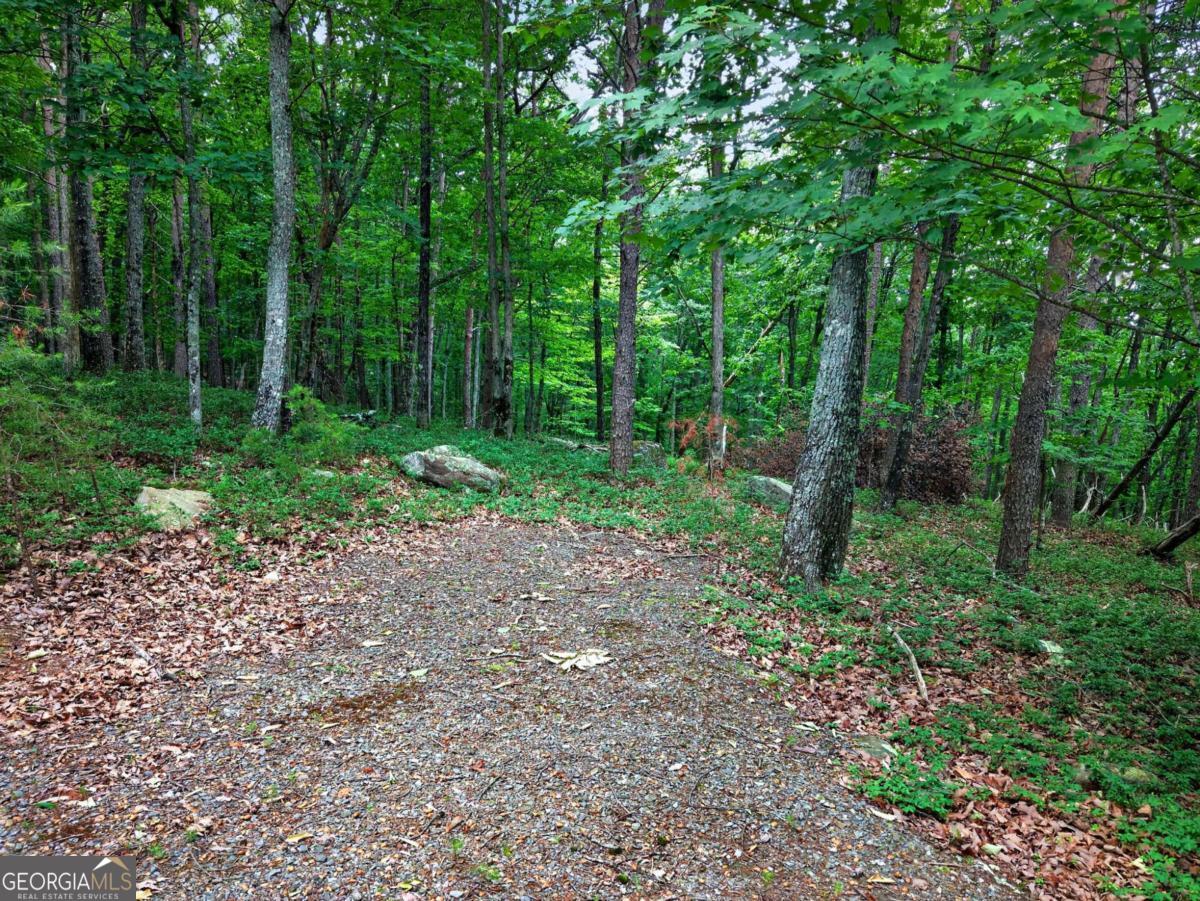0 Ridgeside CT