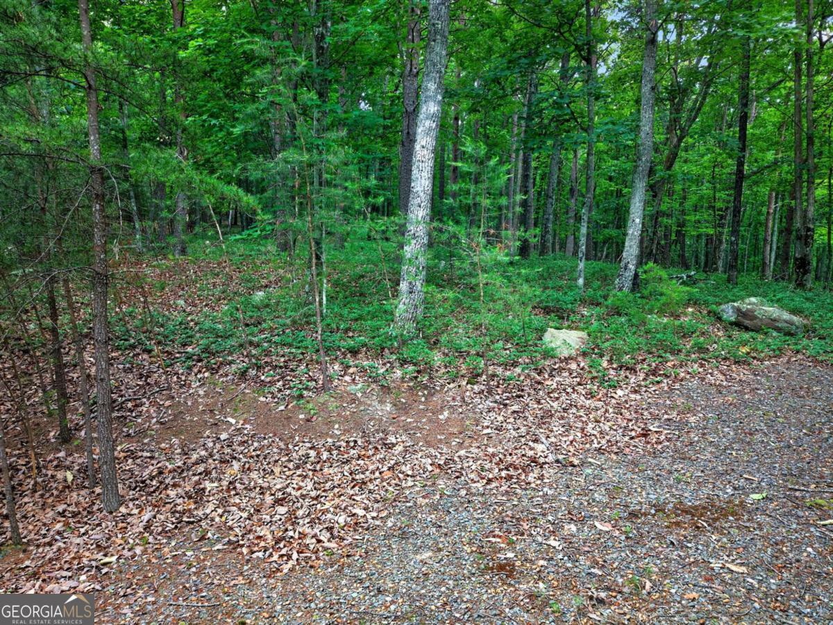 0 Ridgeside CT