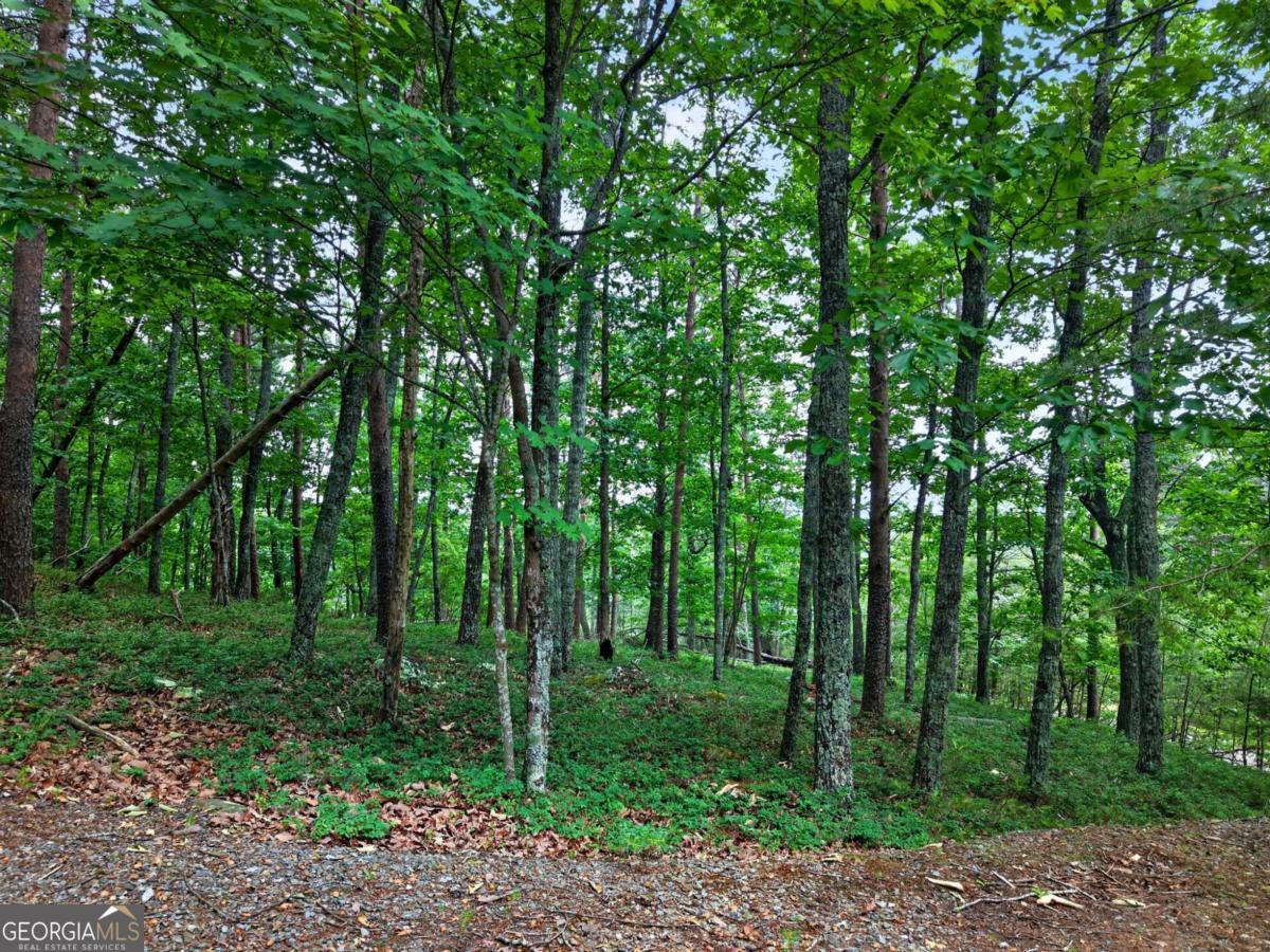 0 Ridgeside CT