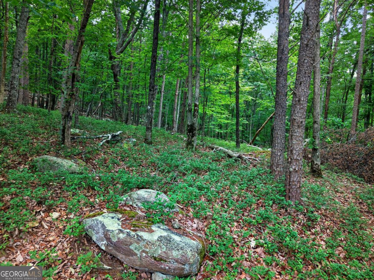 0 Ridgeside CT