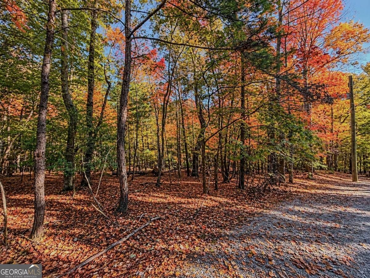 LOT 3118 Opal LN 00