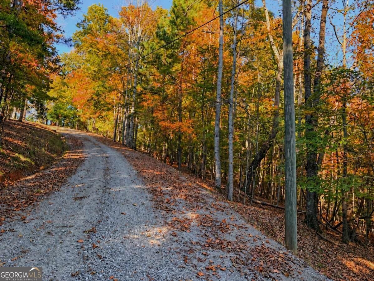 LOT 3118 Opal LN 00