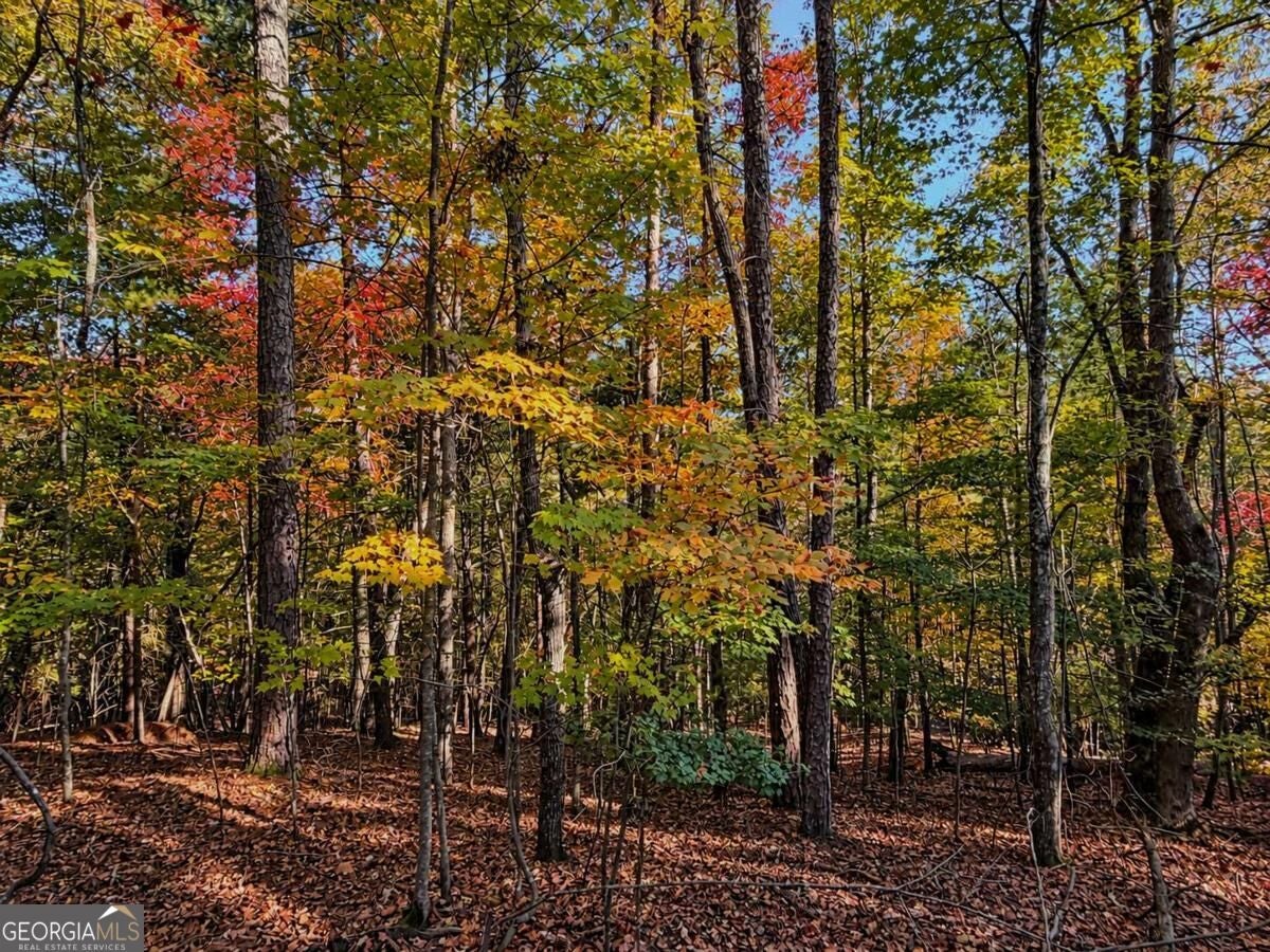 LOT 3118 Opal LN 00