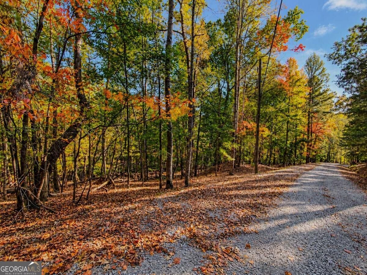 LOT 3118 Opal LN 00