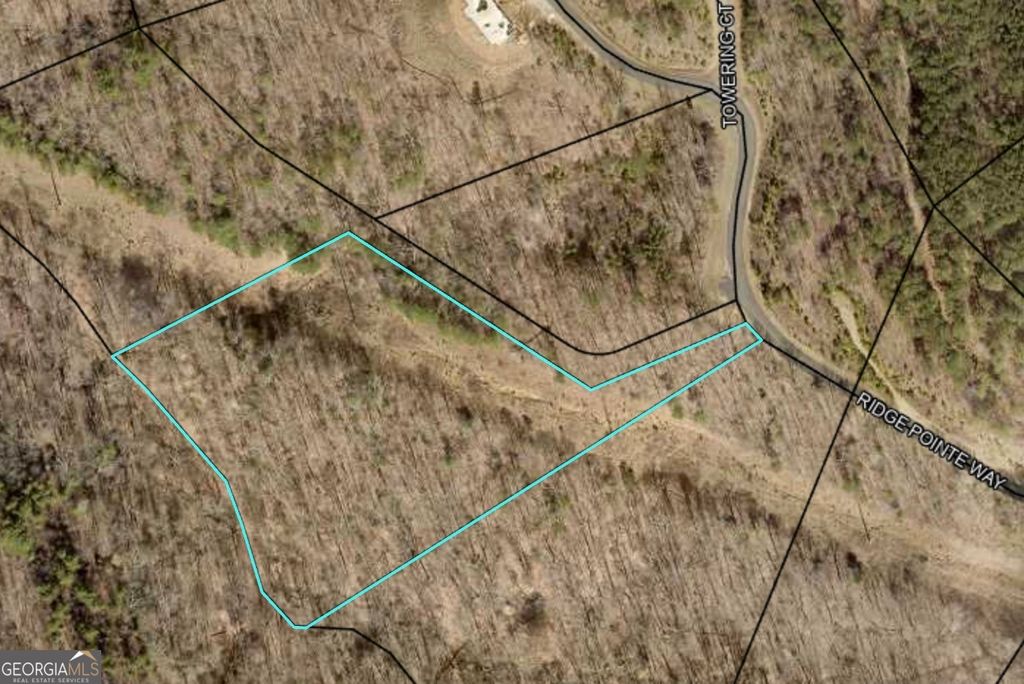 Photo of 0 Ridge Pointe Way, Blairsville, GA 30512 (MLS # 10766296)