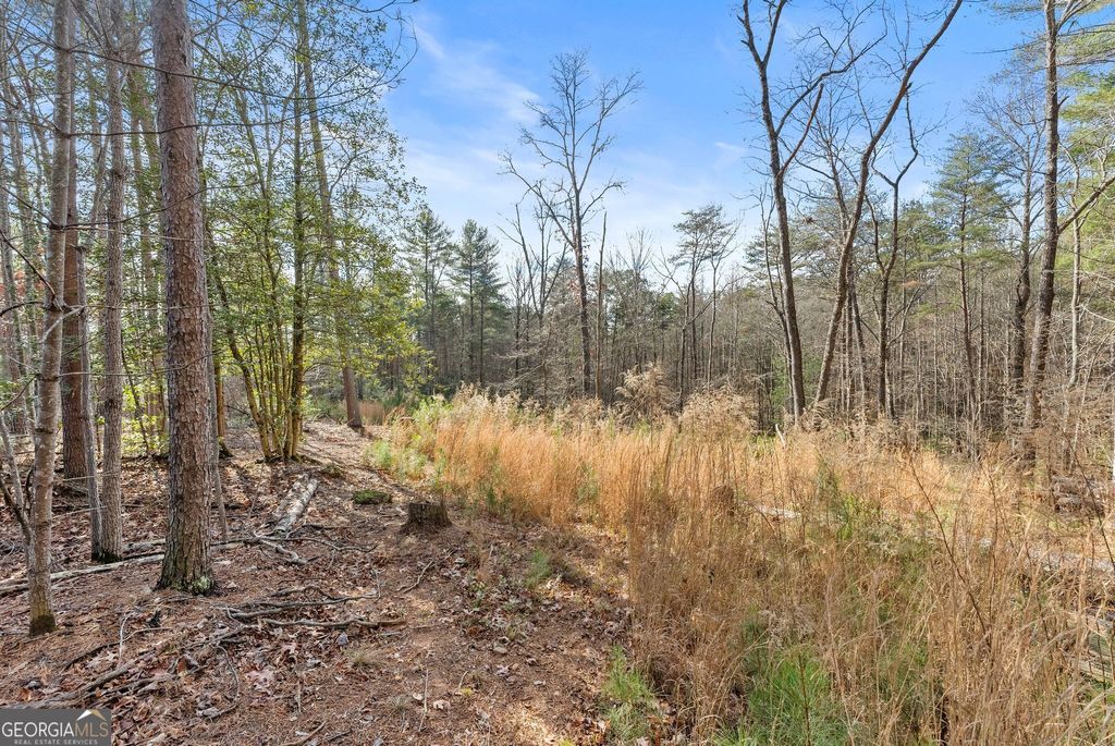 Photo of 1361 Soque Ridge Circle, Demorest, GA 30535 (MLS # 10655037)