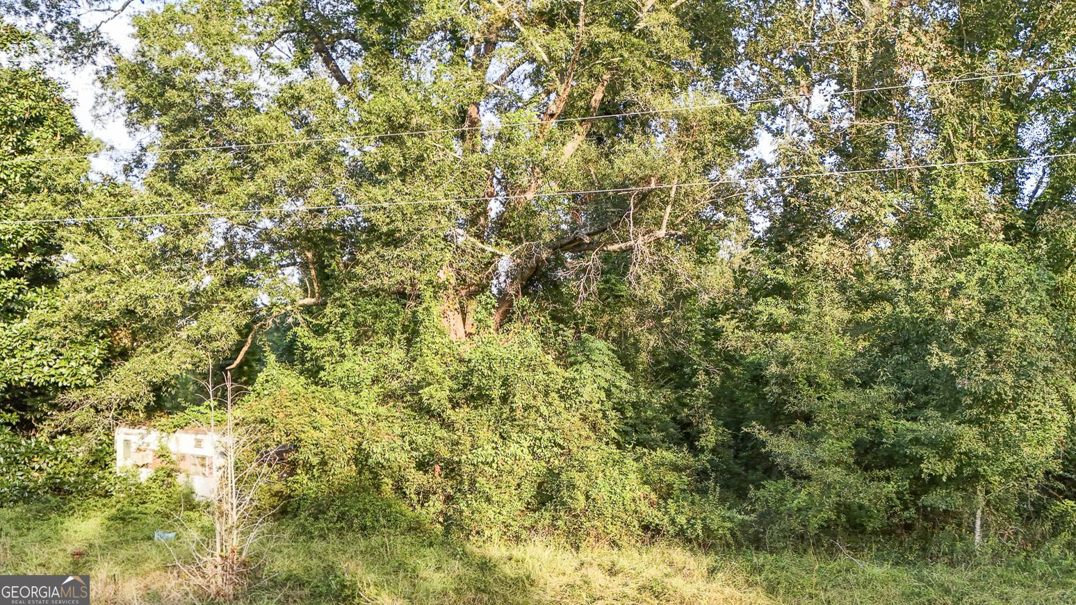 5.04+/- ACRES Joyner Oglesby RD LOT #1