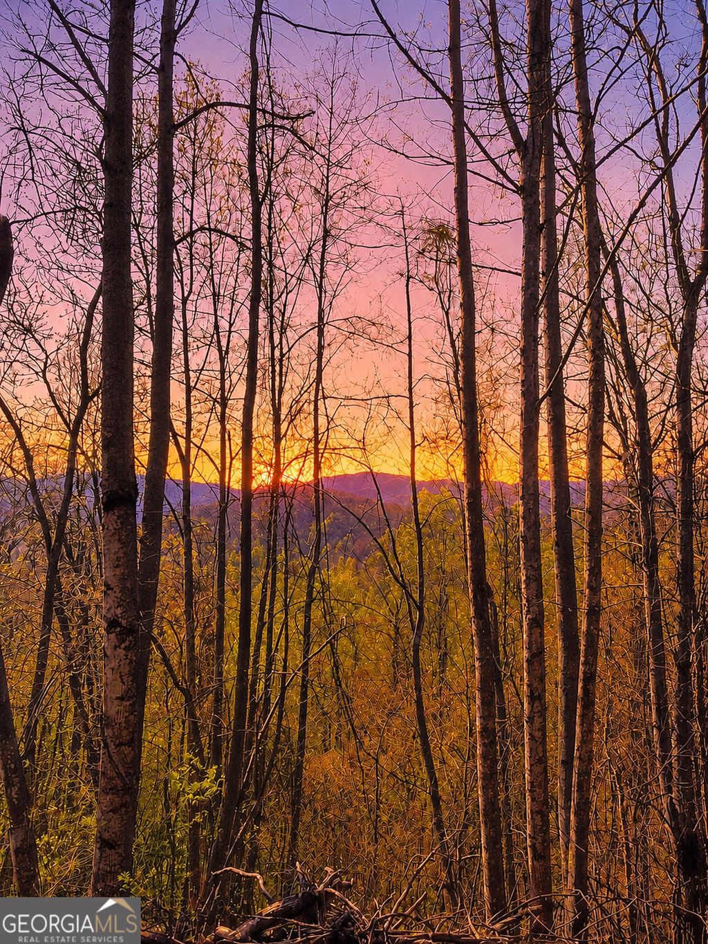 Photo of 29 Hidden Valley Drive #00, Ellijay, GA 30536 (MLS # 10758515)