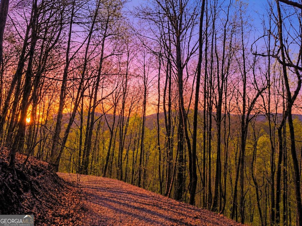 Photo of 29 Hidden Valley Drive #00, Ellijay, GA 30536 (MLS # 10758515)