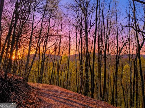 Photo of 29 Hidden Valley Drive #00, Ellijay, GA 30536 (MLS # 10758515)