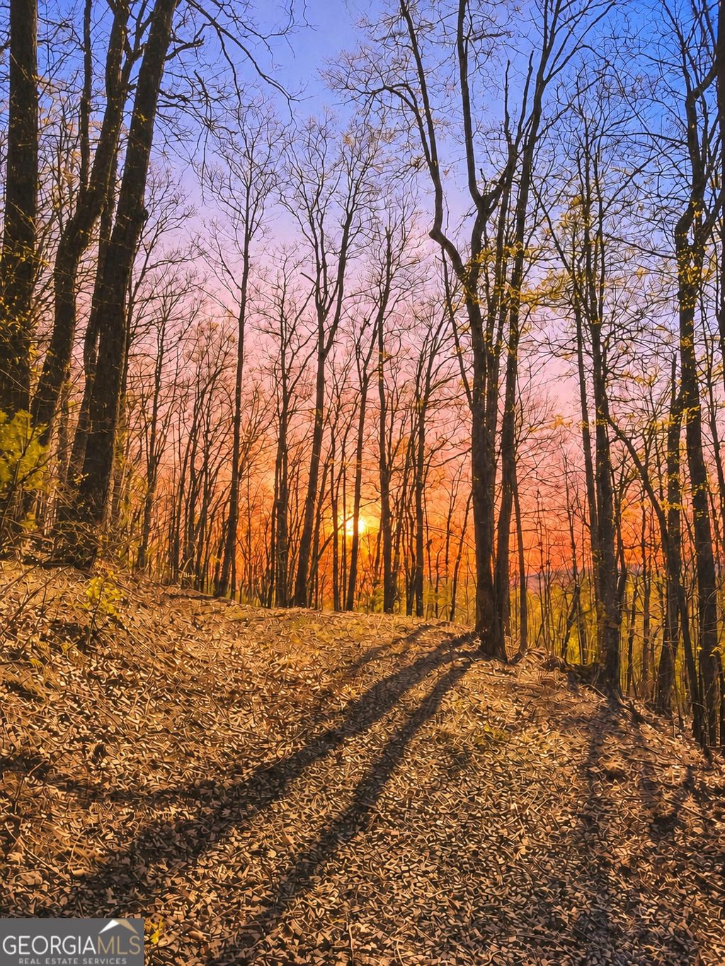 Photo of 29 Hidden Valley Drive #00, Ellijay, GA 30536 (MLS # 10758515)