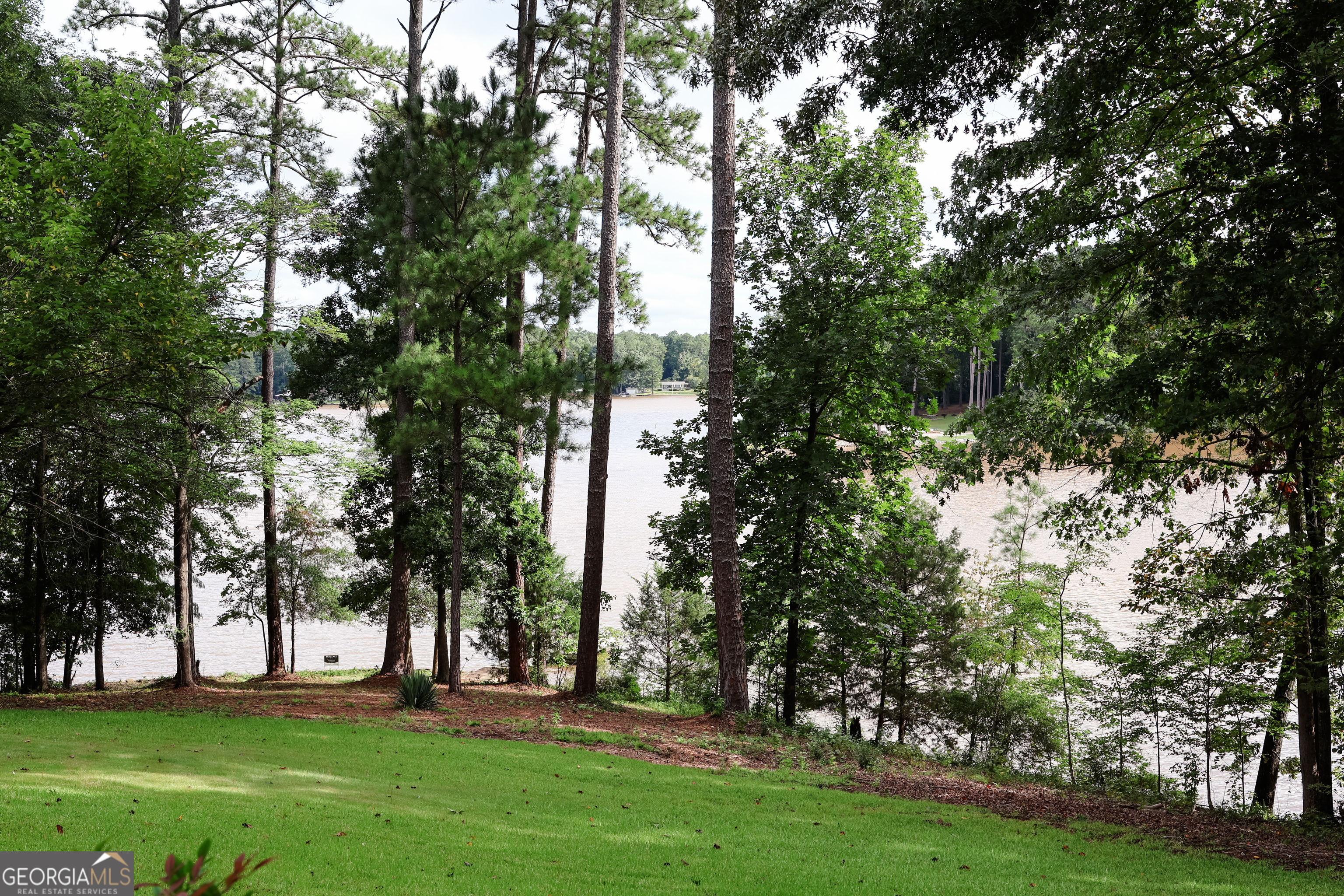 54 Owl CT