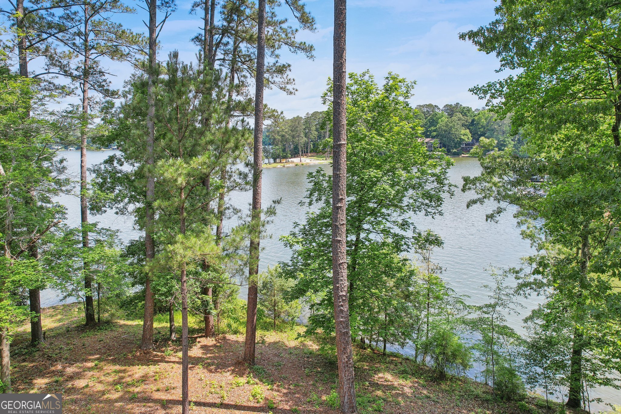 54 Owl CT