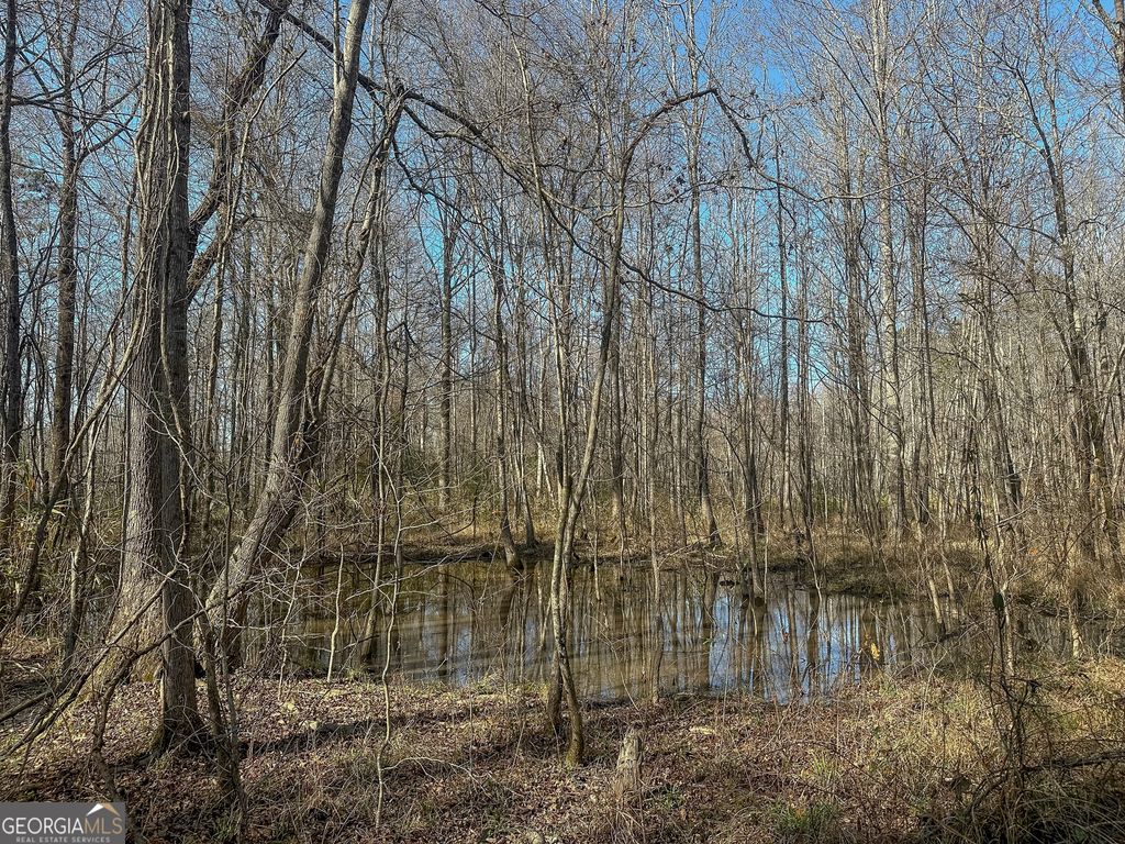Photo of 1298 Days Avenue, Morris, GA 39867 (MLS # 10753313)