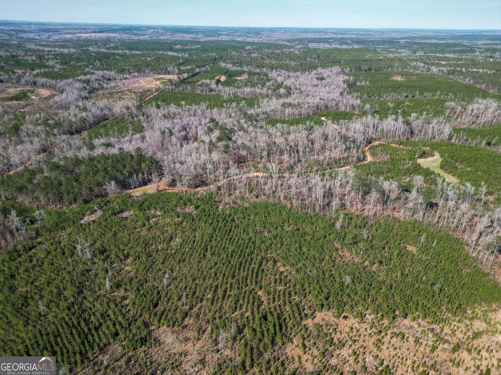 Photo of 1298 Days Avenue, Morris, GA 39867 (MLS # 10753313)