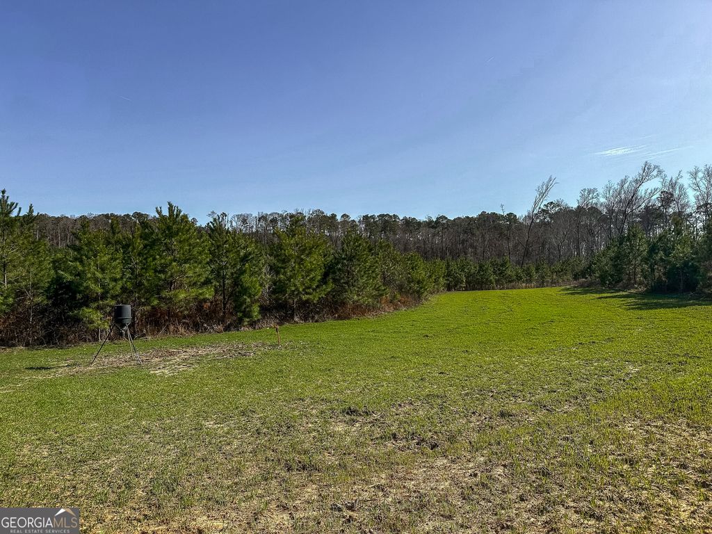 Photo of 1298 Days Avenue, Morris, GA 39867 (MLS # 10753313)