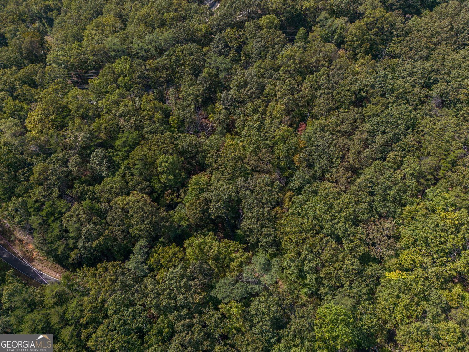 0 Little Hendricks Mountain RD